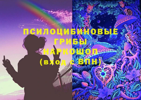 дурь Алексин