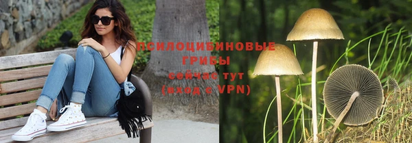твердый Алзамай