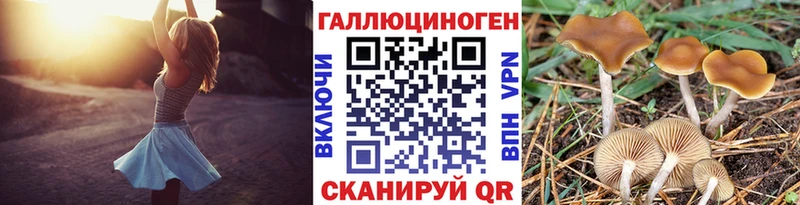 Галлюциногенные грибы Cubensis  Нижний Тагил 
